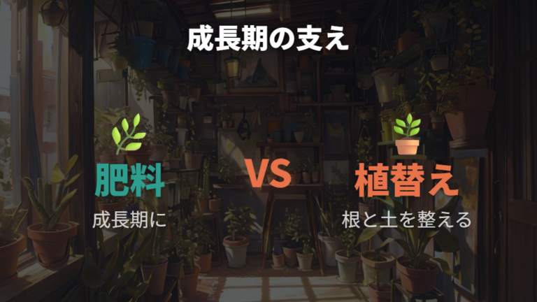 肥料と植え替えで動きやすい時期の勢いを支える