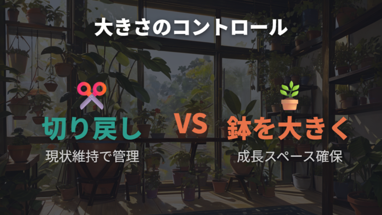 ウンベラータの植え替えで大きくしたくない鉢サイズ選び