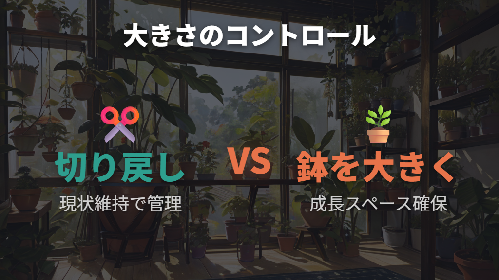 ウンベラータの植え替えで大きくしたくない鉢サイズ選び
