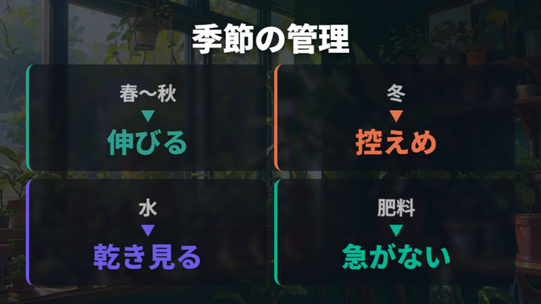 伸びすぎを防ぐ育て方は水やりと肥料を季節で変える