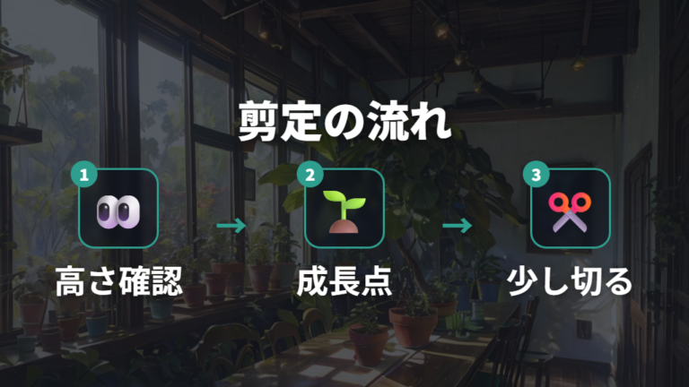 大きくなりすぎた時の剪定は成長期に生長点を見て切る