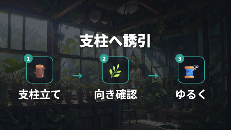 切らずに支柱へ誘引する方法で株を安定させる
