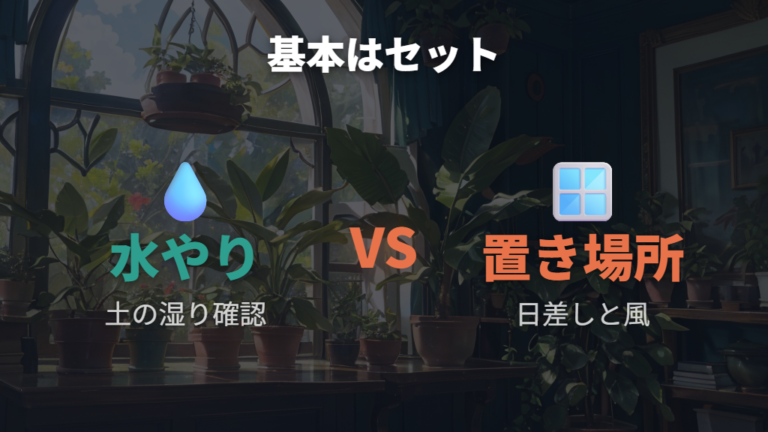 斑点を防ぐ水やりと置き場所の基本