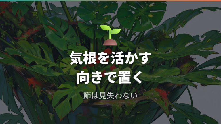 気根を活かす茎の向きと埋め方の基本