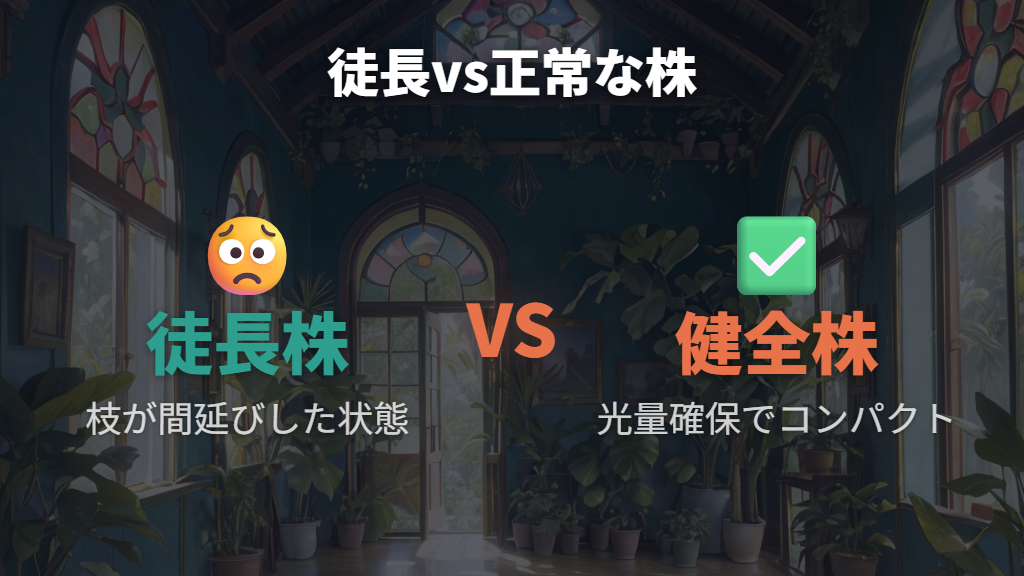 徒長枝の切り戻しと新芽展開の待ち方