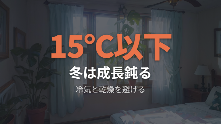 冬の低温と乾燥を避けて小さい新葉を防ぐ