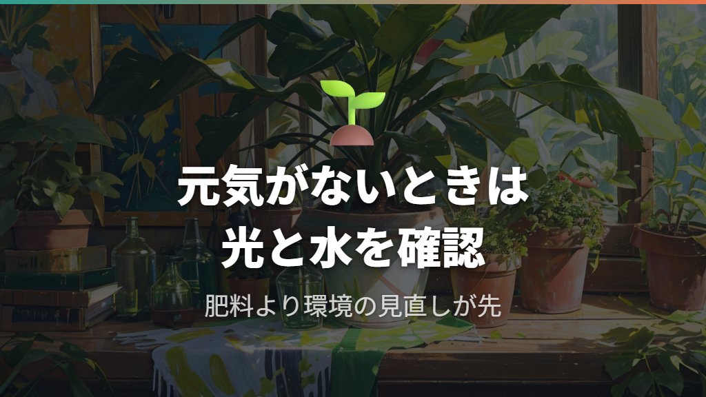 観葉植物におすすめ小さい鉢での肥料管理と成長促進