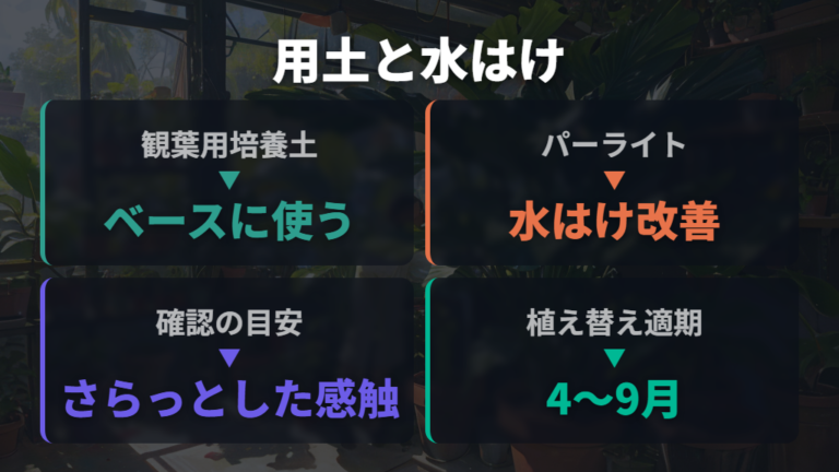 新芽展開を促すモンステラの植え替え土配合と水はけ確保