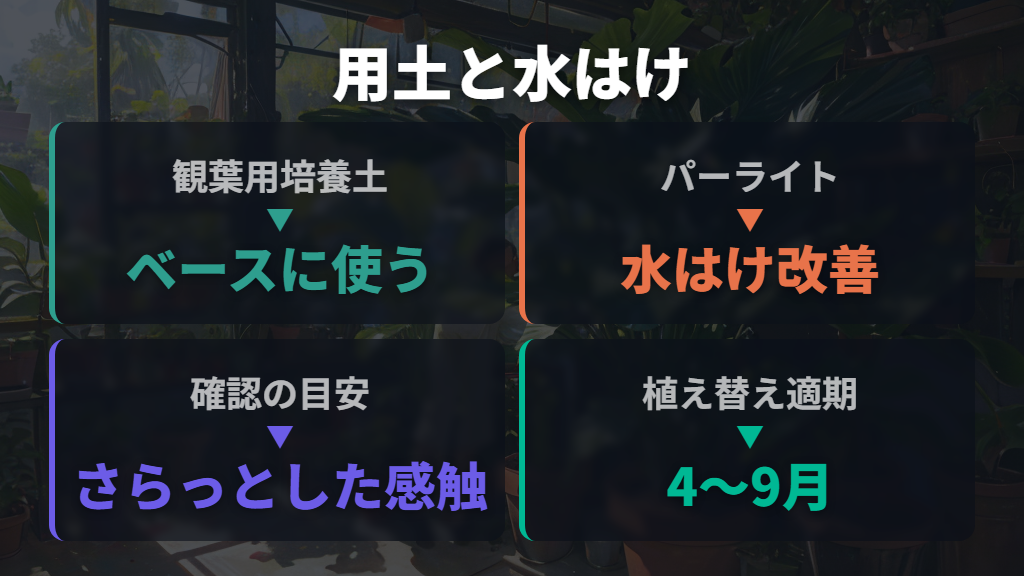 新芽展開を促すモンステラの植え替え土配合と水はけ確保