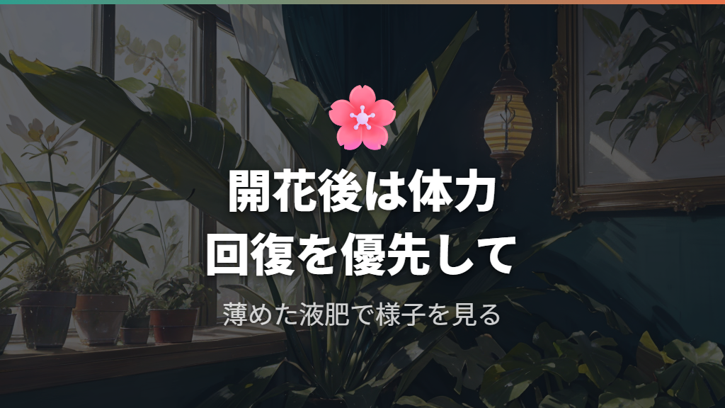 サンスベリアの花が咲く条件と新芽への影響