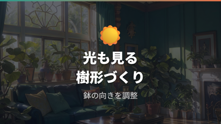 枝分かれで樹形を整えるコツは光の当て方にも出る