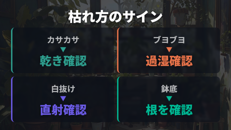 葉が枯れる主な原因をサインで見分ける