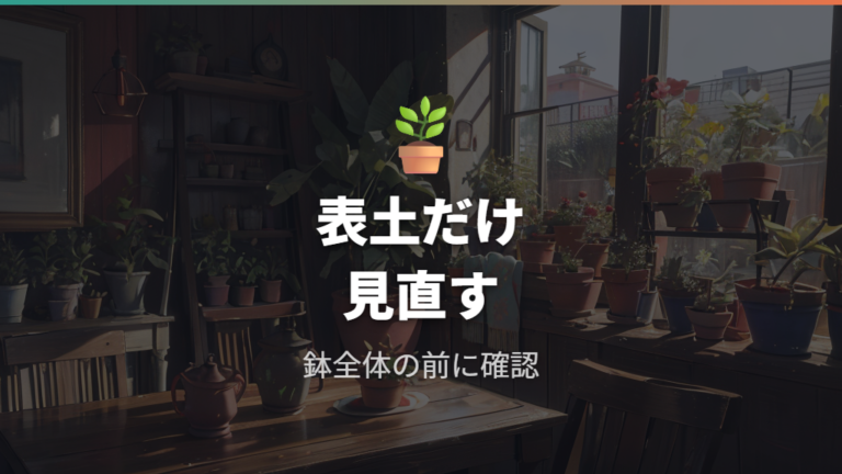 赤玉土だけで育てられる条件に合わないときの表土対策