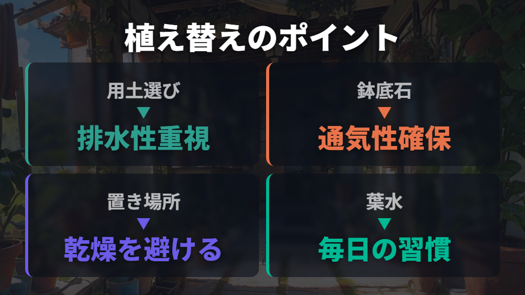 用土管理とウンベラータの植え替えで再発を防ぐ