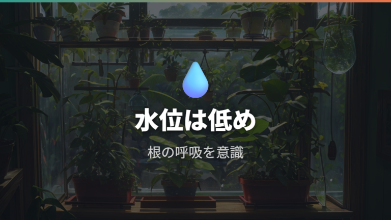 ハイドロカルチャーで育てるなら水位を低めに保つ