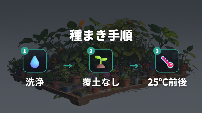 実から種を採って増やす方法は洗浄が大切