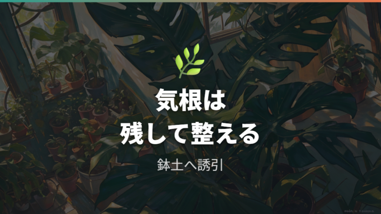 気根や古い葉の整え方は切りすぎないのがコツ