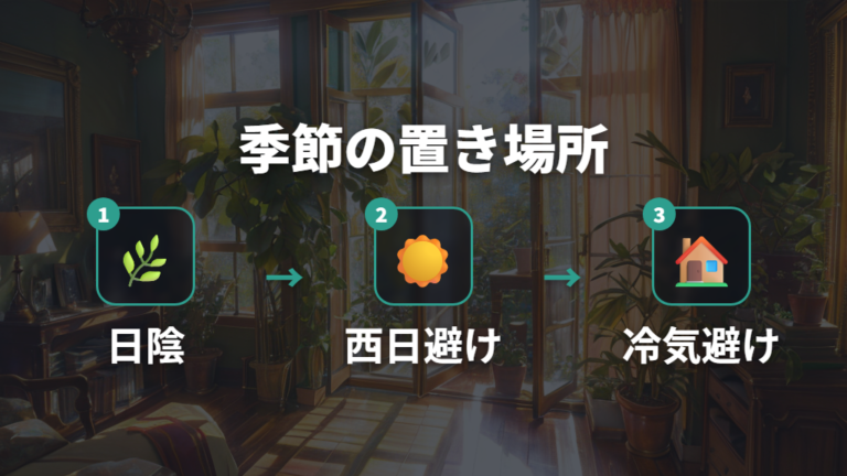 季節別に置き場所をチェックする