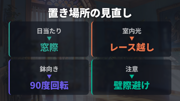 徒長を防ぐ置き場所は明るさと風通しで選ぶ