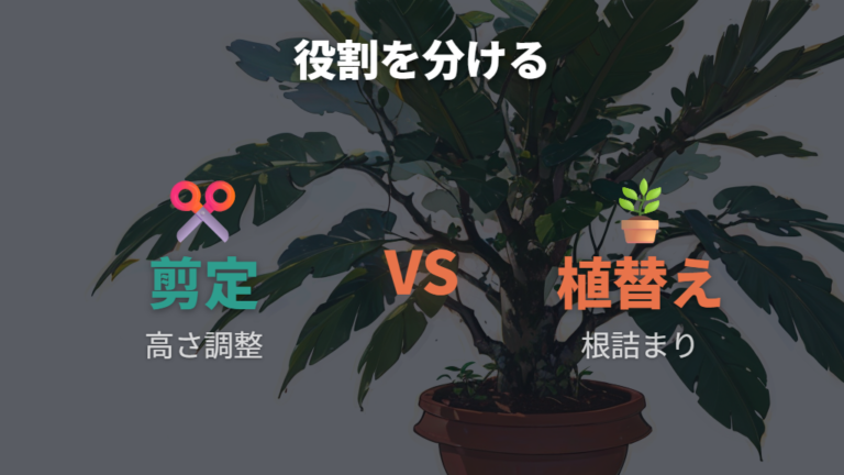 剪定と植え替えで整える方法は高さと根詰まりを分けて見る