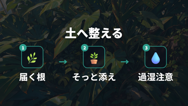 気根を土に入れて整えるコツと折れ・腐れの注意