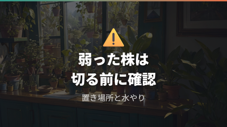木質化した枝は剪定してよいか迷う弱った株の見極め