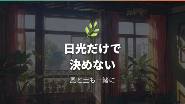 葉トラブルを防ぐ育て方の基本は日光と風通しで足りる？