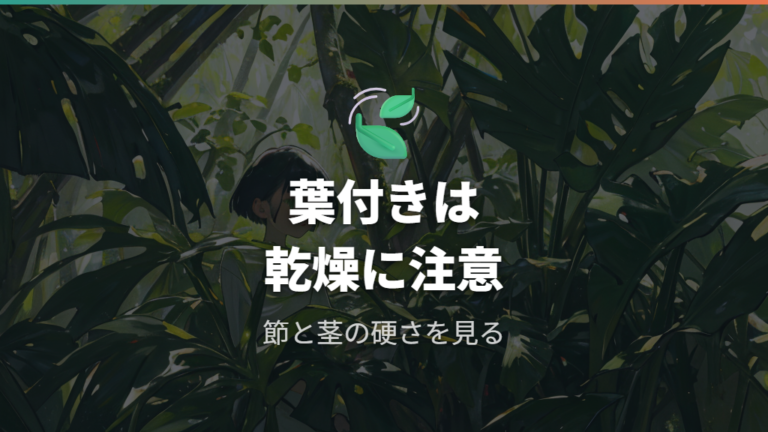 葉付きの茎伏せは乾燥と蒸散に注意する