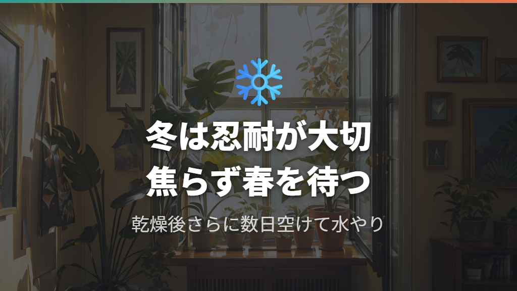 冬越しの温度管理と水やり調整でモンステラの新芽が出ない状態を脱する