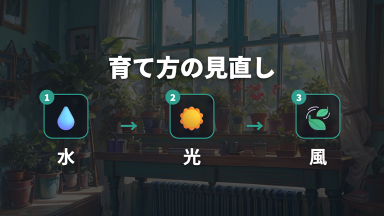 枯れを防ぐ育て方の見直しは水・光・風から始める