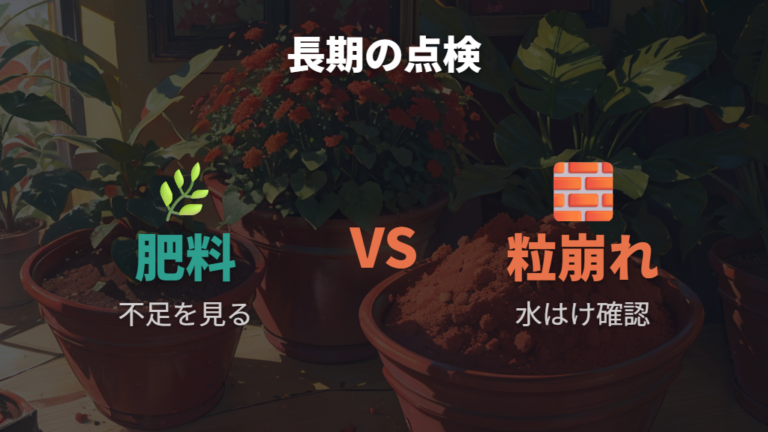 赤玉土単用のメリットと弱点を長期管理で補う