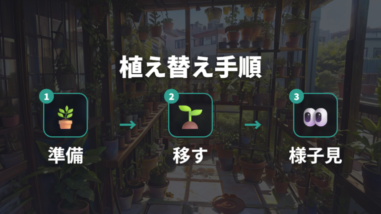 植え替えが必要なサインが出た後の手順