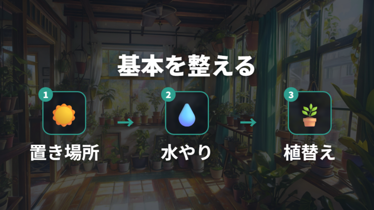 炭酸水以外で元気にする方法を先に整える