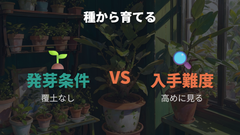 種から育てるなら発芽条件と入手難度を確認する