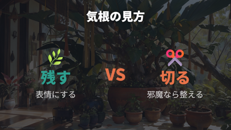 根や気根が伸びすぎたときは切る前に役割を知る