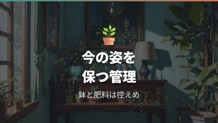 室内で育つパキラの大きさを抑えるなら鉢と肥料を控えめにする