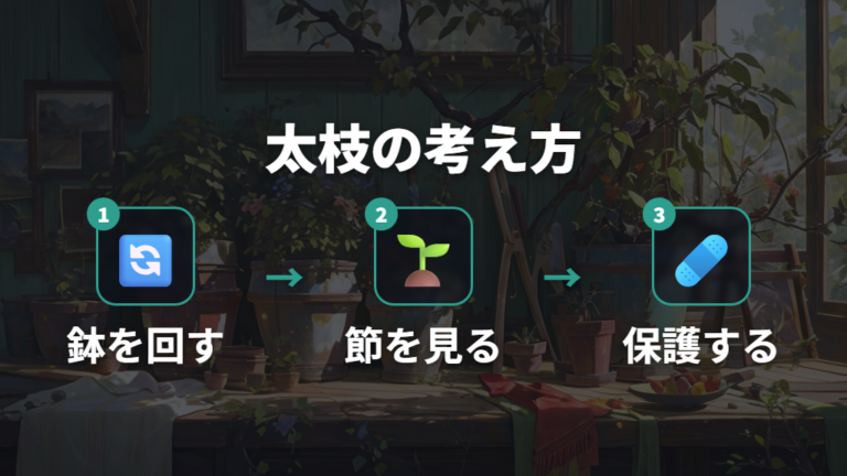 木質化した枝の切る位置は太枝ほど段階的に考える