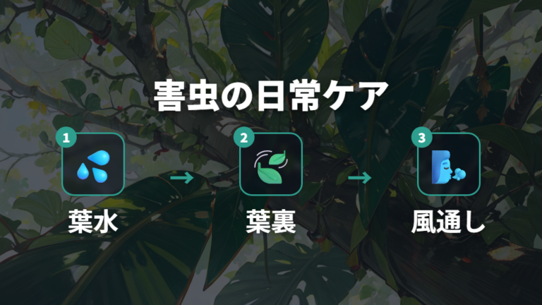 ハダニとカイガラムシを再発させない日常ケア