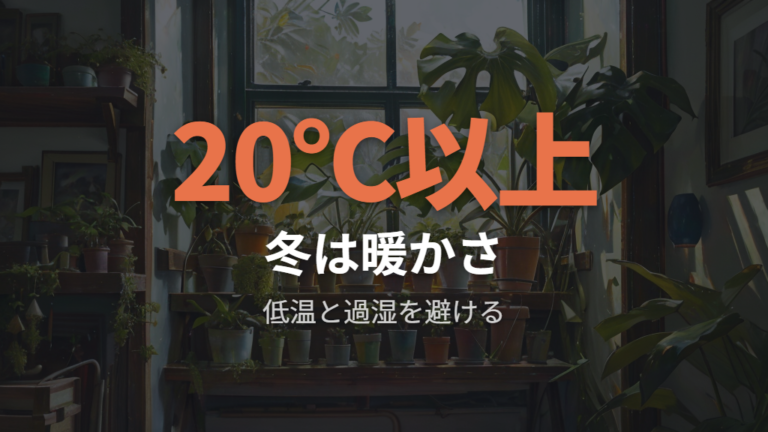 冬の茎伏せは腐るリスクを見て待つか加温する