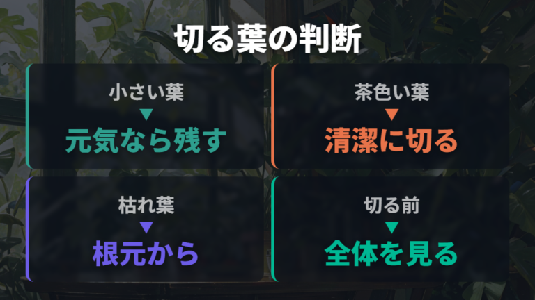 小さい葉は切るべきかを状態別に判断する