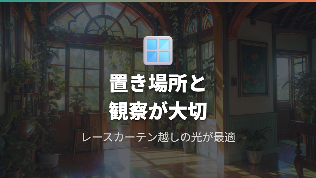 ガジュマルの木の置き場所最適化と日常の観察ポイント