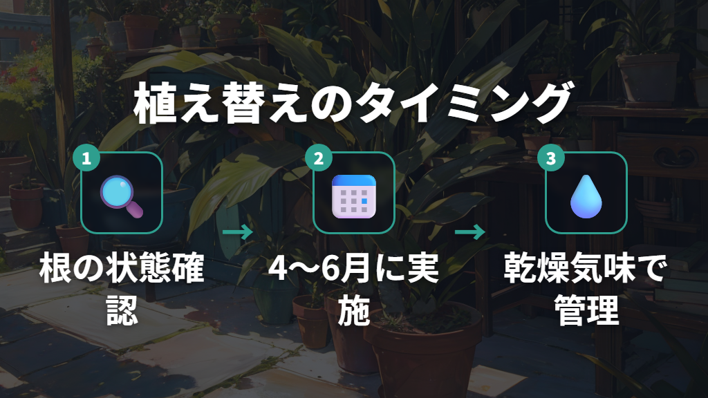 根詰まりサインの見極めと植え替えのタイミング