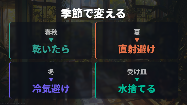 日光と水やりの注意点は季節で変える