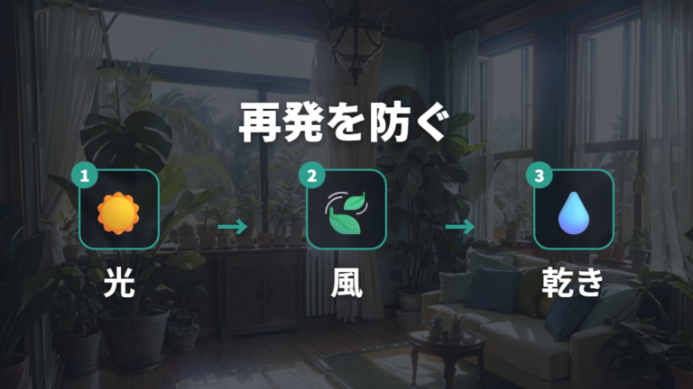 徒長を防ぐ置き場所に戻して再発を防ぐ