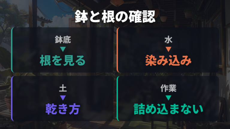 鉢と根詰まりを見直して伸びすぎを管理する