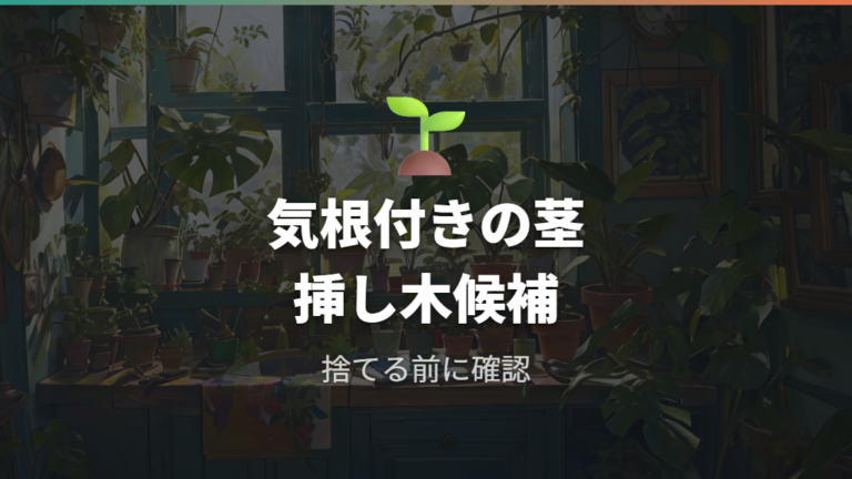 気根付きの茎は挿し木にも活用できる