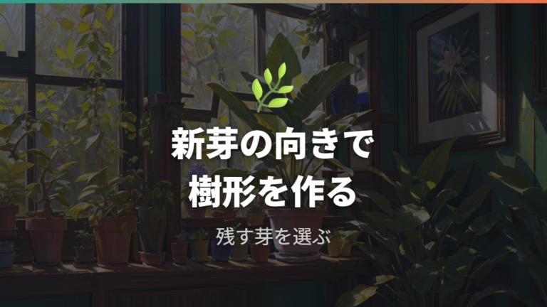 樹形を整える剪定のコツは丸坊主後の芽を選ぶこと