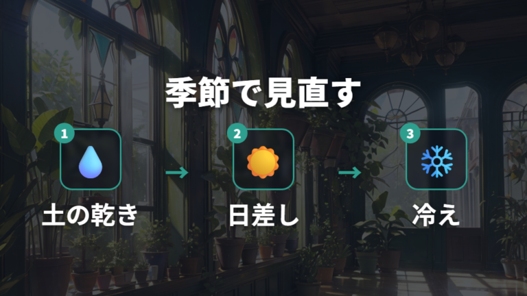 斑点を防ぐ水やりと置き場所を季節ごとに見直す