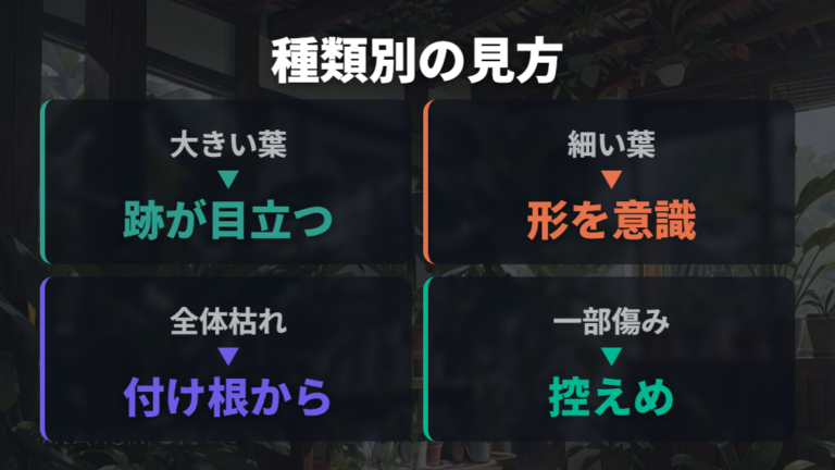 種類別に注意したい枯れた葉の切り方