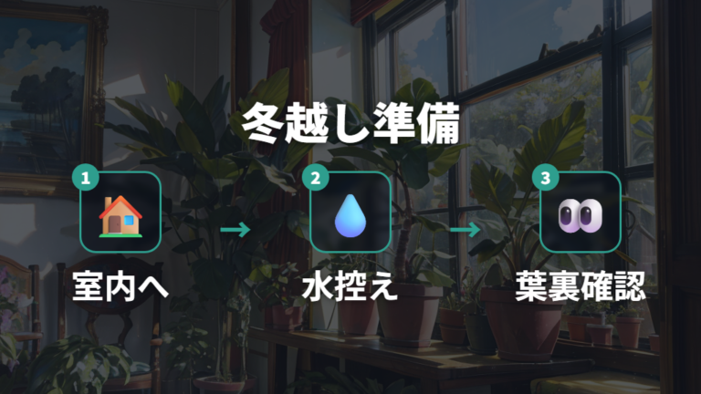 外置きから室内管理へ戻すときの冬越し準備